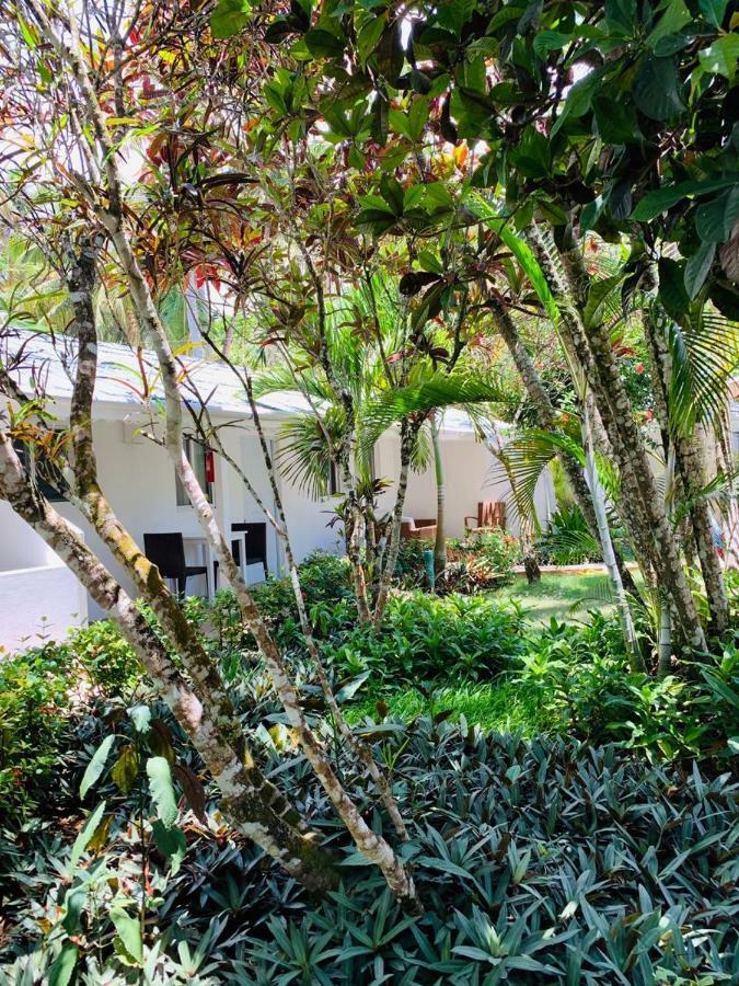 Beach Hotel Casa Nina Las Terrenas Ngoại thất bức ảnh