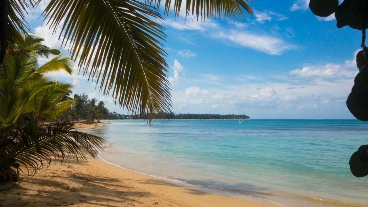 Beach Hotel Casa Nina Las Terrenas Ngoại thất bức ảnh